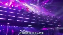  - 张学友演唱会《吻别》