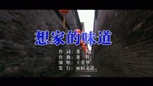  - 王爱华-想家的味道MTV