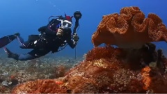 探索海洋生物