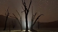唯美之夜