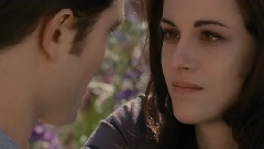 The Twilight Saga Breaking Dawn Part.2