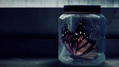 Butterfly Waltz - Brian Crain & Rita Chepurchenko