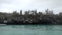 Santa Cruz, Galapagos, Ecuador