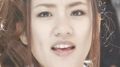 斗魂