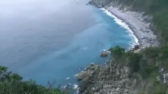 手风琴与小提琴