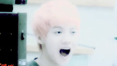 SUGAR PLUM