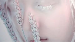 Imagination