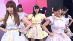 ラブラドール・レトリバー