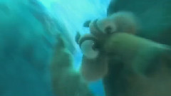 Ice Age 4 Continental Drift