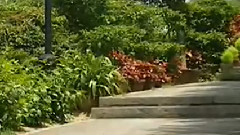 战台风