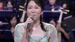 快车小姐