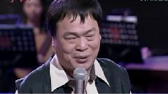 可爱的马