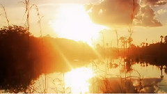 Beautiful Morning