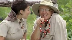 Snake Surprise
