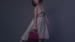 Lady Dior Handbag Fall Winter 2014