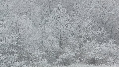 Relaxing Music With Beautiful Scenes Of Winter