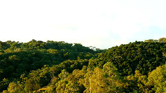 Time Lapse The Nature