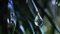 光与雨