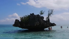 走进毛里求斯 海洋之旅