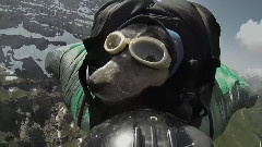 Dean Potter BASE Jumps With His Dog