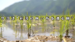 AKB48旅少女 EP07