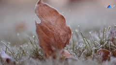 Winter Memory