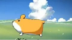 笑颜