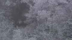 泼墨黄山 四
