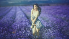 Mirage Of Flowers