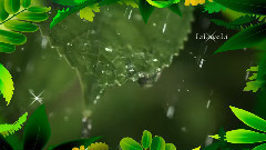 You're Like A Rain