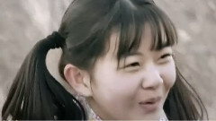 香木虎