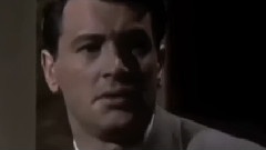 1960年前最帅气的男演员