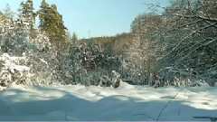雪人