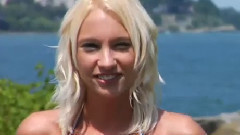 Maxim HTH