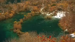 随缘