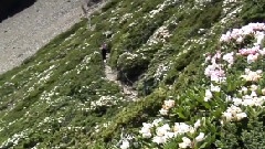 青春岭