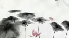 连年有鱼