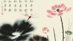 荷韵