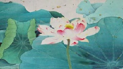 青且涟漪