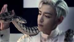 Somebody To Love