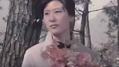 <天云山传奇>