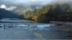 高山流水