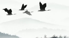 平沙落雁