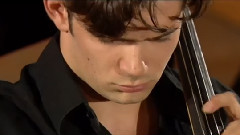 Schubert - Le Trio n度2 100 Renaud Capuçon, Gautier Capuçon Et Frank Braley