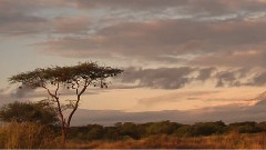 The shadow of mount Kilimanjaro Africa Tanzania