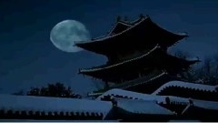 断情殇