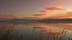 Living Landscapes