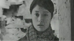 电视剧