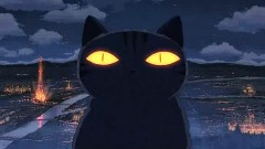 猫的集会