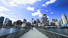 The City